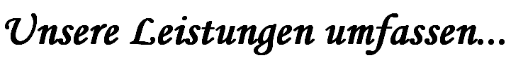 Unsere Leistungen umfassen...