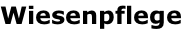 Wiesenpflege