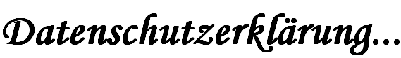 Datenschutzerklärung...