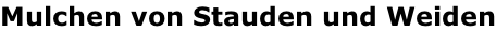 Mulchen von Stauden und Weiden